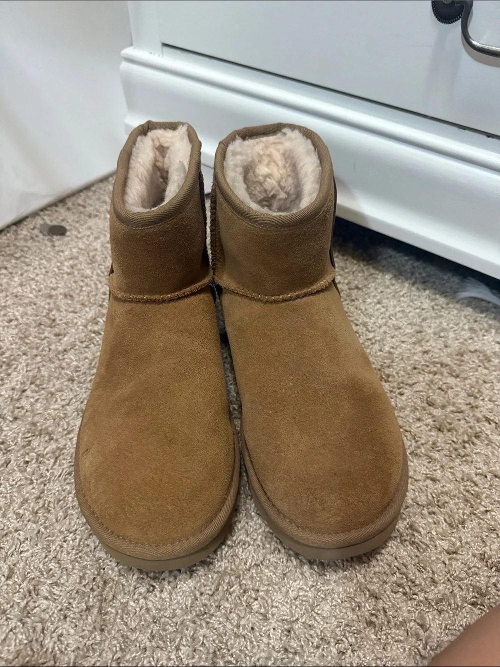 UGG Chestnut Short Suede Boots